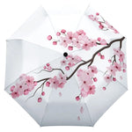 Japanese Cherry Blossom Umbrella