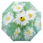 White Daisy Umbrella