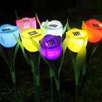 Tulip Garden Light