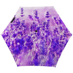 Lavender Umbrella