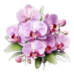 Orchid Wall Decal