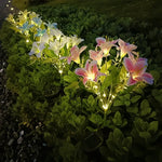 Lily Solar Light