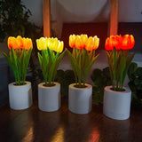 Orange Tulip Desk Lamp