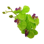 Green Orchid Hair Clip