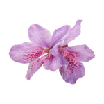 Purple Lily Hair Clip