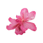 Pink Lily Hair Clip