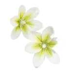 Magnolia Hair Clip