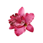 Pink Orchid Hair Clip