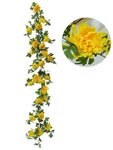 Chrysanthemum Garland Bulb