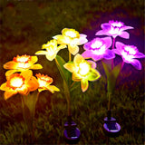 Daffodil Solar Lights