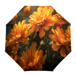 Chrysanthemum Umbrella