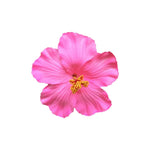 Pink Hibiscus Hair Clip