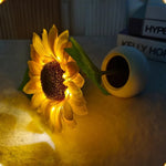 Sunflower with Light