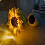 Sunflower with Light