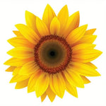 Sunflower Car Sticker