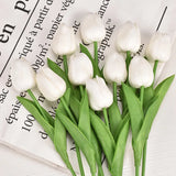 White Silk Tulips