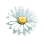 Daisy Wall Decal