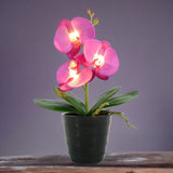 Orchid Lamp Light