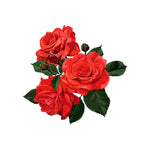 Red Flower Wall Sticker