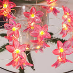 Lily String Lights