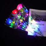 Led Light Up Rose 