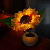 Sunflower with Lights