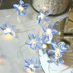 Lily String Lights