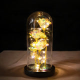 Glass Rose Lamp