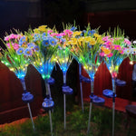 Daisy Solar Garden Lights