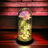 Galaxy Rose Eternal Lamp