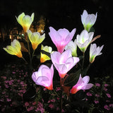 Magnolia Outdoor Solar Lights