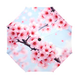 Sakura Umbrella