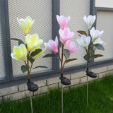 Magnolia Outdoor Solar Lights