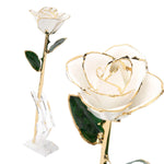 Gold White Rose Stem