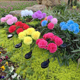 Carnation Solar Lights