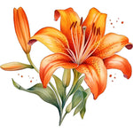 Lily Flower Sticker