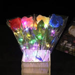 Silk Flower Lights