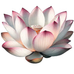 White Lotus Decal