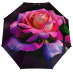 Pink Rose Umbrella