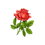 Red Rose Wall Decal