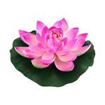 Water Lily Sticker