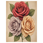 Vintage Rose Blanket
