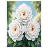 White Peony Blanket
