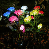 Rose Garden Lights