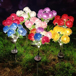 Carnation Solar Lights