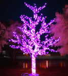 Cherry Blossom Tree Light Up