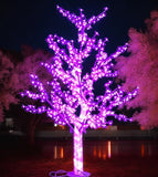 Cherry Blossom Tree Light Up