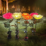 Chrysanthemum Solar Lights