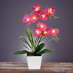 Orchid Table Lamp