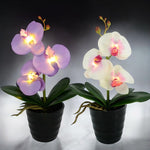 Orchid Led Lamp